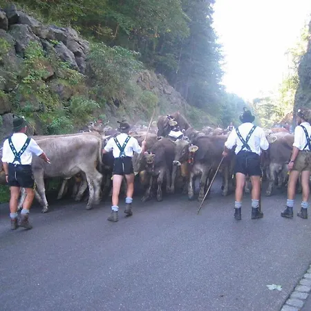 Apartmán Hoefatsblick With Sauna Fischen im Allgaeu